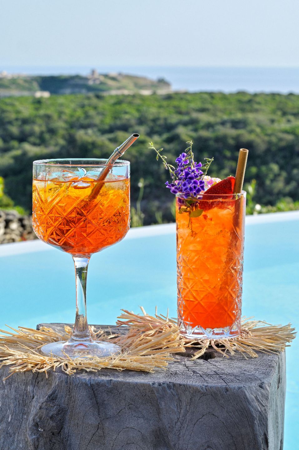Rental of villas in Bonifacio with cocktails | Residence Terra Marina